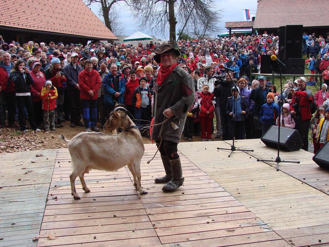 Krjavelj lahko naredi vse, tudi volitve bi lahko na pol presekal. Foto Rajšek Bojan