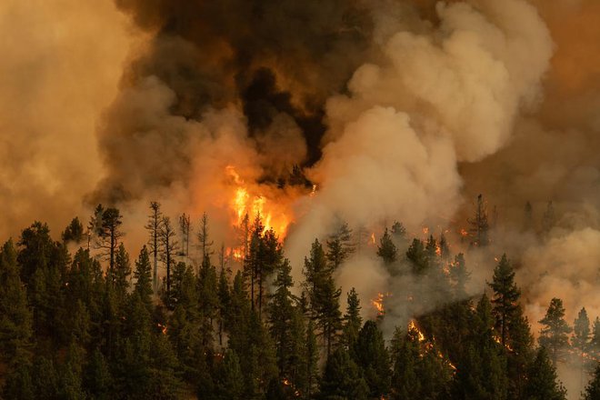 Fotografija je simbolična. FOTO: Trevor Bexon/Shutterstock