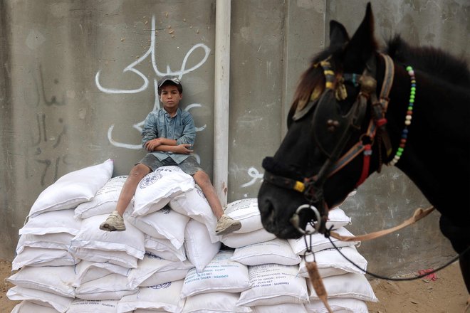 Humanitarna pomoč na sever Gaze ni prišla od trenutka, ko je izraelska vojska začela nov val obleganja. FOTO: Eyad Baba/AFP