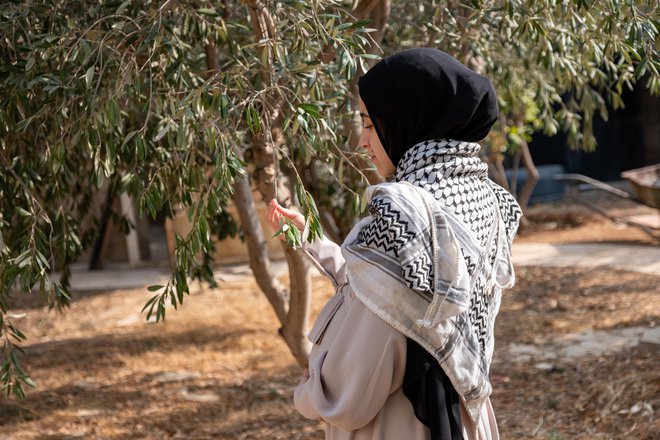 Del razstave v MSUM je tudi kmetijska zgodovina palestinske zemlje v Gazi od časov Kanaancev do današnjih dni. FOTO: Shutterstock