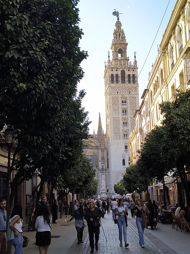 Zvonik katedrale Giralda v srcu Seville ima le 104 metre. FOTO: Bogi Pretnar 