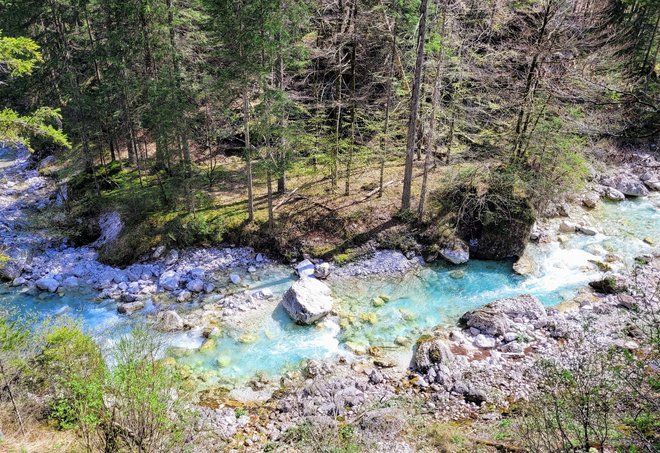 Dolina Vrata v Mojstrani.

FOTO: Tina Horvat