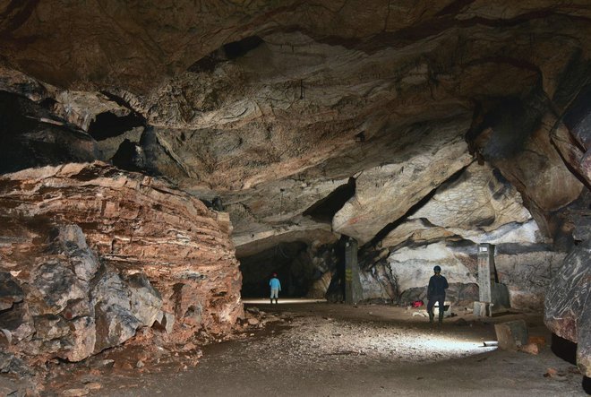 Razlog za uvrstitev Račiške pečine na ugledni geološki seznam je njen geološki profil, v katerem se izmenjujejo plasti sige in gline, bogate s fosilnimi ostanki in kronostratigrafskimi informacijami, zapisi podnebnih sprememb in obratov magnetnega polja.
FOTO: Jurij Hajna

 