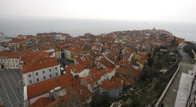 Muženič poudarja, da je pomemben moralni vidik odločitve, da se takšni nazivi odvzamejo, pa četudi posthumno. FOTO: Tomi Lombar/Delo