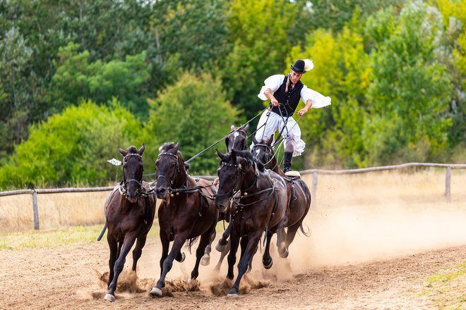 V zgodovinskih virih se Madžari pojavijo v 9. stoletju. FOTO: Shutterstock