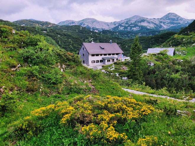 Planinska koča pod Bogatinom je ena od štirih, ki jih upravlja Planinsko društvo Srednja vas v Bohinju. FOTO: Tina Horvat