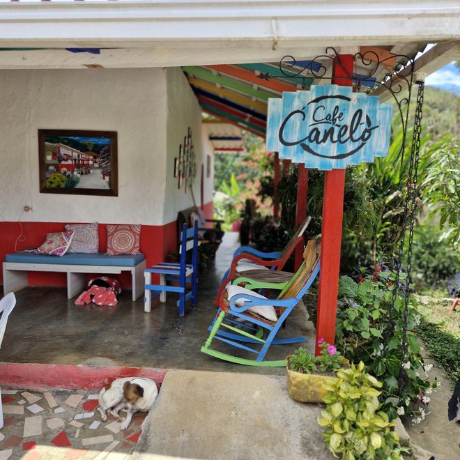 Na posestvu Cafe Canelo rastejo kava, banane, koruza, limone in drugi citrusi ter še več drugih vrst sadja in zelenjave. FOTO: Borut Tavčar/Delo