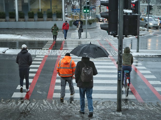 Prvi sneg tokrat v Ljubljani ni presenetil nikogar. FOTO: Jože Suhadolnik/Delo