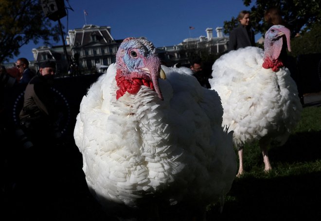 Američani so bili vedno ponosni, da so na zahvalni dan domov povabili koga od zunaj. FOTO: Leah Millis/Reuters