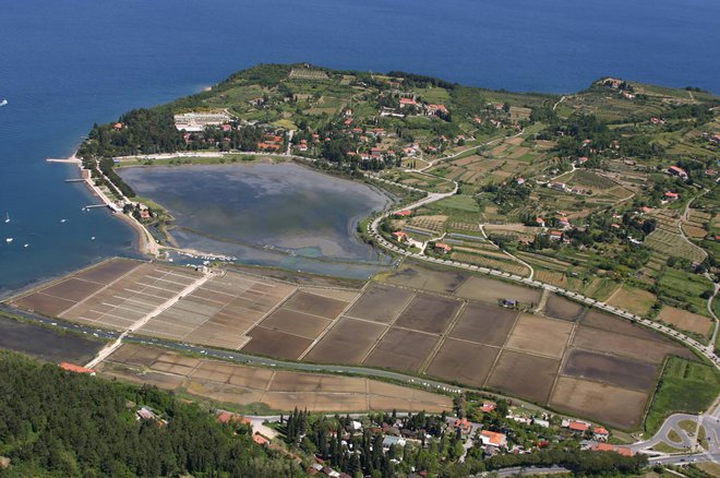 V Termah Krka pravijo, da si za dodatno pozidavo prostora in dopolnjen OPPN prizadevajo od leta 2012, stanovalci pa opozarjajo, da so turistične kapacitete v kraju že zdavnaj prerasle zmogljivost parka. FOTO: Boris Šuligoj