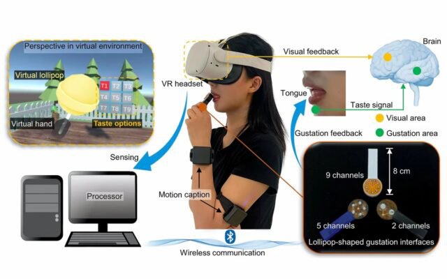 Diagram, ki prikazuje delovanje virtualne lizike. FOTO: Liu Et Al., 2024/pnas 