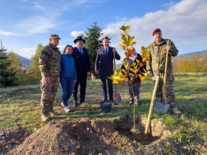 Na spletni strani slovenske vlade (https://www.gov.si/novice/2024-11-15-obnovili-smo-drevored-platan-ivan-cankar-na-betaniji/) je bila 15. novembra ob fotografiji objavljena novica o obnovi Drevoreda platan Ivan Cankar na Betaniji. Kot je zapisano pod fotografijo so na njej: predstavnika slovenske vojske, predsednica slovenskega društva Cankar Verica Džindo, direktor Knatonalnega javnega podjetja Park d.o.o. Adis Bešlić, veleposlanik Damijan Sedar in članica društva Ana Mrdović.