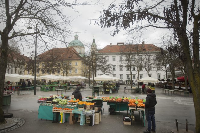 Poleg starejših poškodb fresk na stropu in obokih semeniške knjižnice so nove poškodbe nastale v času gradnje steklene brvi – Mesarskega mostu, prve etape garaž pod tržnico. FOTO: Jure Eržen