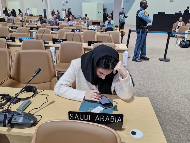 Delegacija Savdske Arabije je na podnebno konferenco prišla branit status quo glede fosilnih goriv, kar ji je uspelo. FOTO: Maja Prijatelj Videmšek