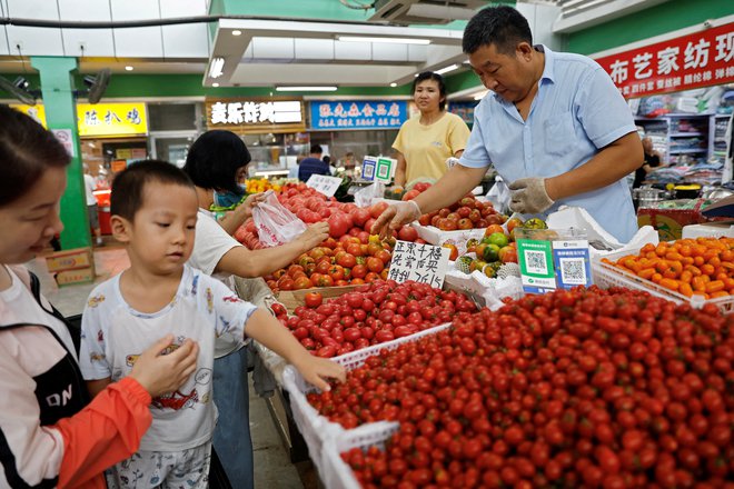 Z analiziranjem elementov, ki jih paradižnik absorbira iz lokalne vode in kamenja, strokovnjaki lahko določijo poreklo paradižnika. FOTO: Tingshu Wang/Reuters