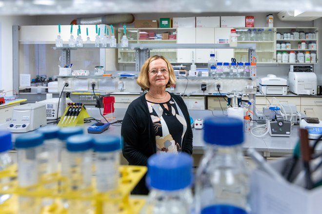 Prof. dr. Damjana Rozman je letos prejela Zoisovo nagrado za vrhunske dosežke na področju biokemije, molekularne biologije in funkcijske genomike. FOTO: Voranc Vogel

 