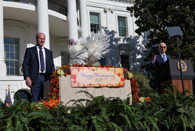 Ameriški predsednik Biden je še zadnjič v svojem mandatu ob zahvalnem dnevu pomilostil purana. FOTO: Leah Millis Reuters