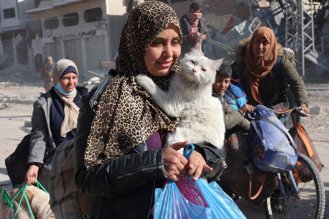 Palestinka nosi svojo mačko, ko skupaj s someščani beži iz Beit Lahije v Jabalijo na severu Gaze. Foto: Omar Al-qattaa/Afp