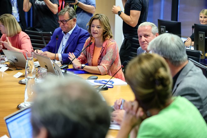 V Socialnih demokratih so z veleposlaniškim mestom najprej želeli nagraditi Igorja Šoltesa, a ga je odnesla afera, zdaj naj bi bil na vrsti Aleksander Jevšek. FOTO: Črt Piksi