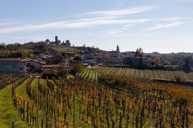 Trenutno so največji »ambasadorji« Goriške na avstrijskem Koroškem vinarji iz Brd, povedo na Območno obrtno-podjetniški zbornici Nova Gorica. FOTO: Črt Piksi/Delo