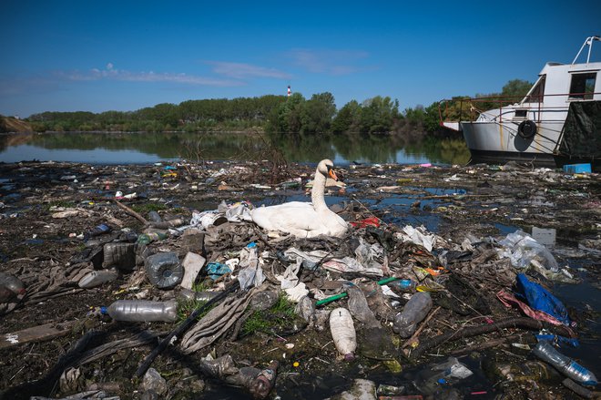 Dokler ne bo svetovnega dogovora o ustavitvi onesnaževanja s plastiko, bodo ukrepi EU slaba tolažba. FOTO: Andrej Isakovic/AFP