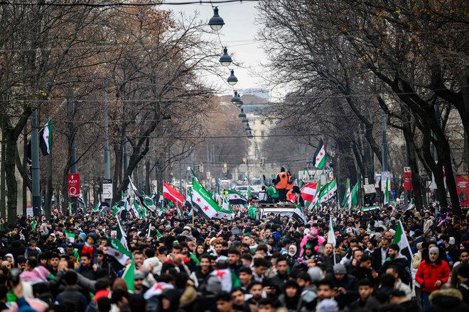 Na Dunaju danes potekajo shodi in praznovanja. FOTO: Max Slovencik/AFP