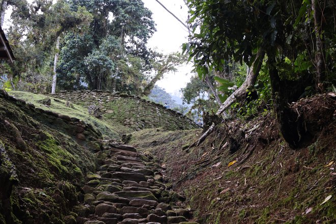 Vhod v Ciudad Perdida, Izgubljeno mesto, ki je nastalo okoli leta 700 našega štetja, ljudje pa so ga zapustili okoli leta 1650. Foto: Karel Lipnik