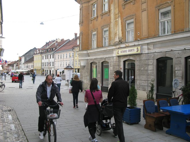 V Sloveniji ni celovitega pregleda stanja potresne odpornosti osnovnih šol, visokošolskih ustanov in vzgojno-varstvenih objektov. FOTO: Marjana Hanc