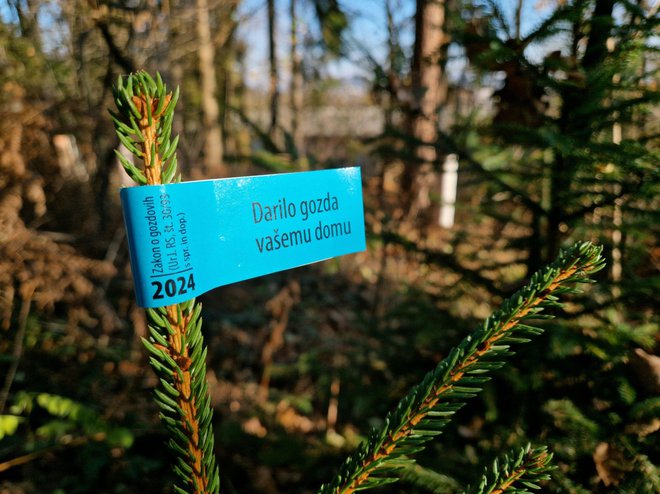 Modra nalepka za sicer manj košata, a najbolj zelena drevesca. FOTO: Zavod za gozdove