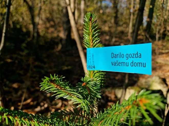 Tako morajo biti označena prava drevesca med prevozom in med prodajo. FOTO: Zavod za gozdove