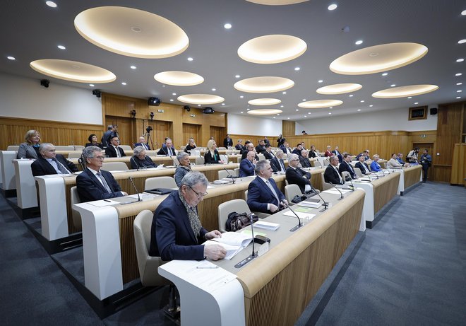 Državni svetniki se zberejo na kar precej sejah. FOTO: Jože Suhadolnik/Delo