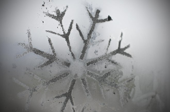 Nežne snežinke, ki naletavajo z zimskega neba. FOTO: Jure Eržen/Delo