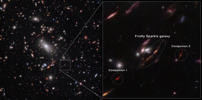 Na sliki je kot lok vidna galaksija Firefly Sparkle ali Roj kresničk s spremljevalnima galaksijama. FOTO: Nasa, Esa, CSA

 