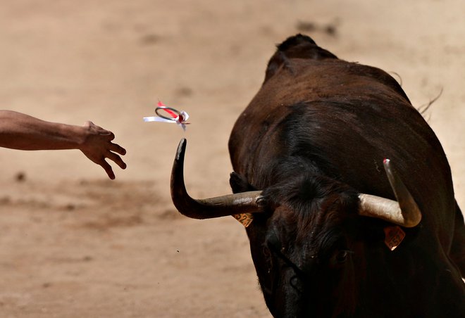 Biki so se razkropili po avtocesti. Fotografija je simbolična. FOTO: Vincent West/Reuters