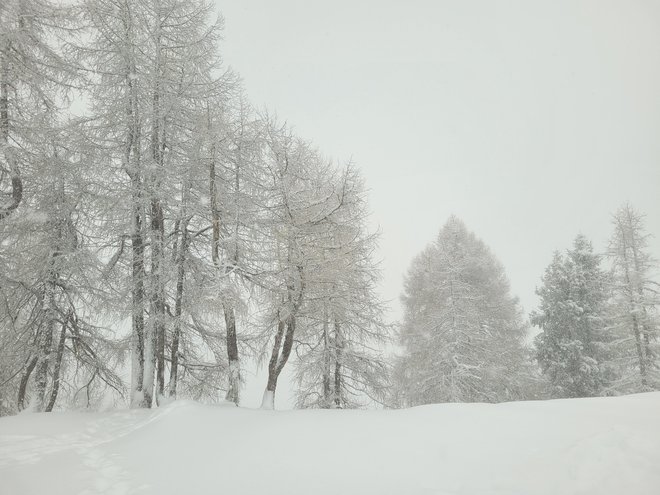 Začenja se koledarska zima. FOTO: Tina Horvat 

 