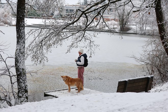 Prizor ob Koseškem bajerju v Ljubljani. FOTO: Matej Družnik/Delo