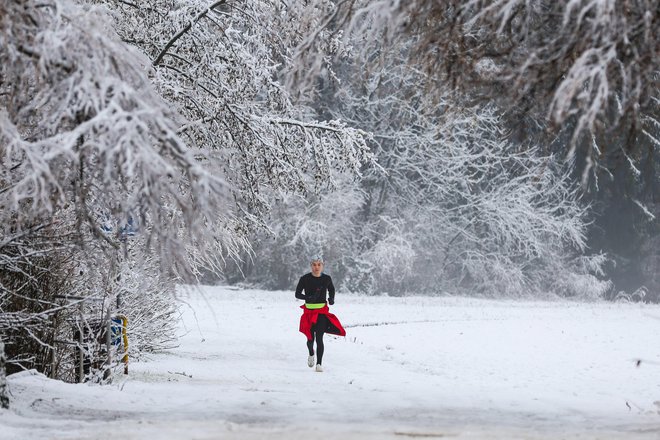 Prizor ob Koseškem bajerju v Ljubljani. FOTO: Matej Družnik/Delo