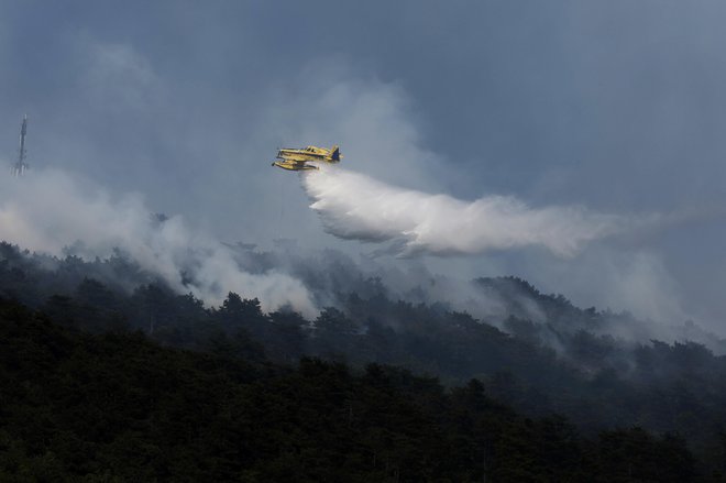 Požar na območju Škrbine proti hribu Trstelj na Krasu FOTO: Leon Vidic