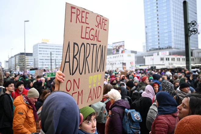  V Evropskem parlamentu imajo aktivisti podporo treh poslanskih skupin. FOTO: Annegret Hilse/Reuters