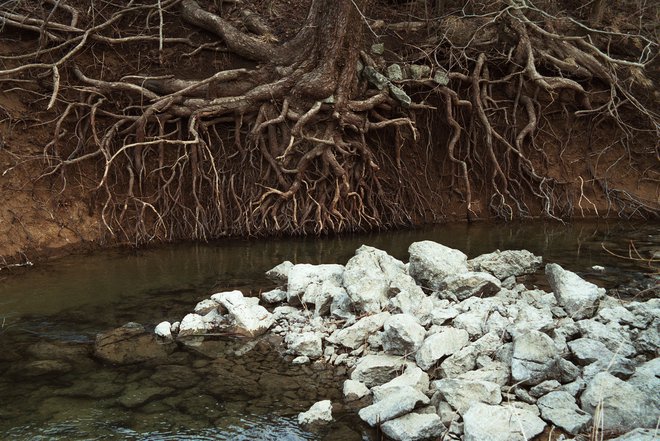 Slovenija pogosto izstopa kot ena najbolj enakih družb na svetu glede na Ginijev koeficient, ki meri dohodkovno neenakost.  FOTO: Mavric Pivk