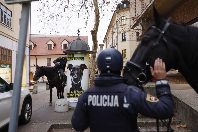 Plakati, petarde, psi, konji, živali, novo leto, praznovanje. Ljubljana, 19. december 2024 Foto Leon Vidic/delo