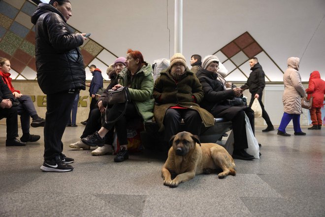 Ponekod so zvoneli alarmi. FOTO: Anatolii Stepanov Afp