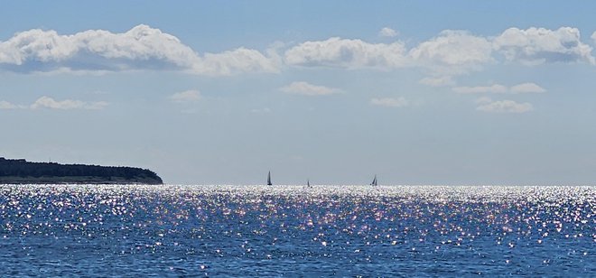 Tak je super dan, odvisen od najmanjših reči na tem svetu. FOTO: Boris Šuligoj