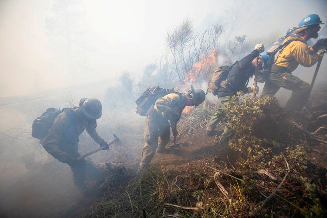 Na terenu je več tisoč gasilcev. FOTO: Ringo Chiu/Reuters