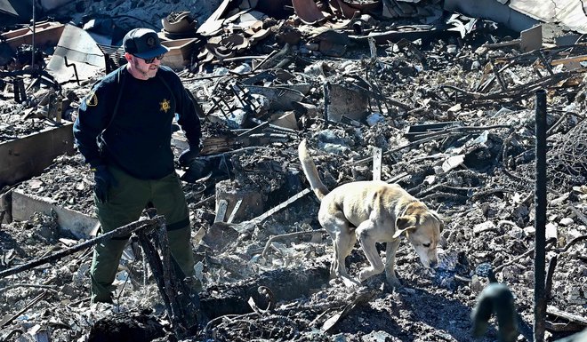 Šerif s psom za odkrivanje trupel. FOTO: Frederic J. Brown/AFP