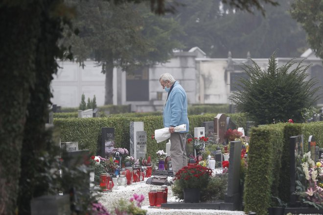 Družba Žale s 111 zaposlenimi upravlja in vzdržuje 18 pokopališč na območju Mestne občine Ljubljana.  FOTO: Leon Vidic/Delo