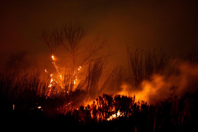 To je četrtič v zadnjih mesecih, da se Los Angeles sooča s »posebej nevarno vremensko situacijo«, pri čemer so vsa tri prejšnja opozorila privedla do večjih gozdnih požarov FOTO: Etienne Laurent/AFP