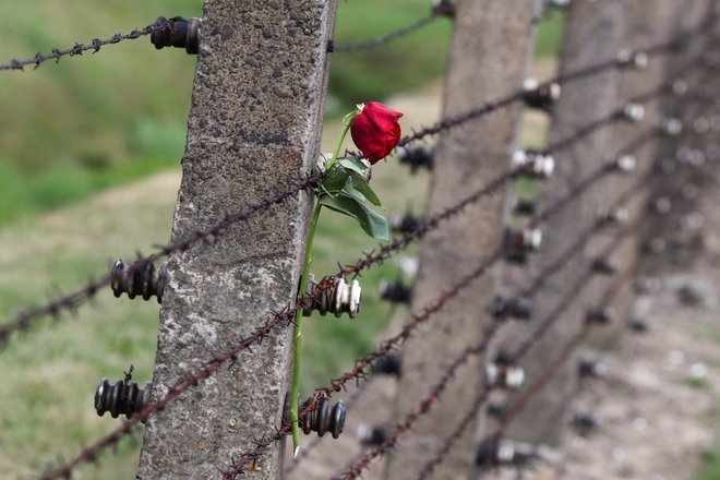 Koncentracijsko taborišče Auschwitz-Birkenau so nacisti odprli leta 1940. FOTO: Kacper Pempel/Reuters