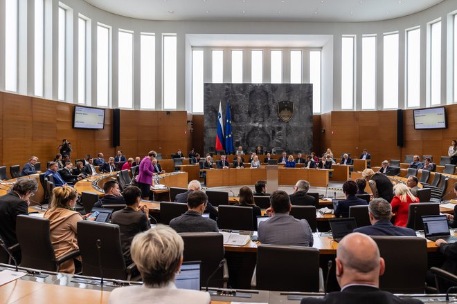 Pred poslanci bo še nekaj predlogov za spremembo ustave, a za zdaj ima začetno načelno podporo dveh tretjin le eden. FOTO: Črt Piksi