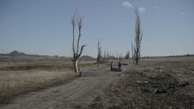 Po romanu Sive čebele je bil posnet istoimenski film. FOTO: Promocijsko gradivo